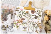 Sticker Flora – Natuur | Bloemen – Planten – Flowers - Dried flower | Vintage - Decoratie | Kaarten - Envelop | Zomaar | Envelop stickers | Cadeau - Gift - Cadeauzakje - Traktatie | Chique inpakken | DH Collection
