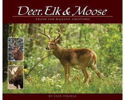 Deer, Elk & Moose
