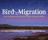 Wildlife Appreciation- Bird Migration