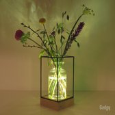 Gadgy Vaas met LED Verlichting - Vaaslamp - Glazen Vaas met Lamp - Moederdag Cadeautje - Hydroponie - Werkt op Batterijen – Tafellamp  - Ø11 cm