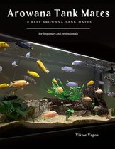 Arowana Tank Mates