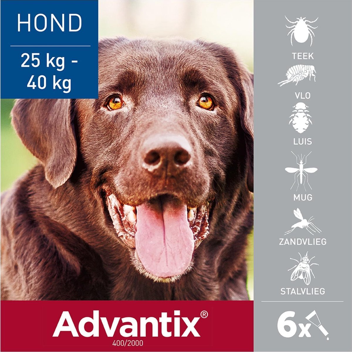 methaan Grondwet Voorvoegsel Bayer Advantix Vlooien & Teken Pipetten - Hond 25 Tot 40 kg - 6 stuks |  bol.com