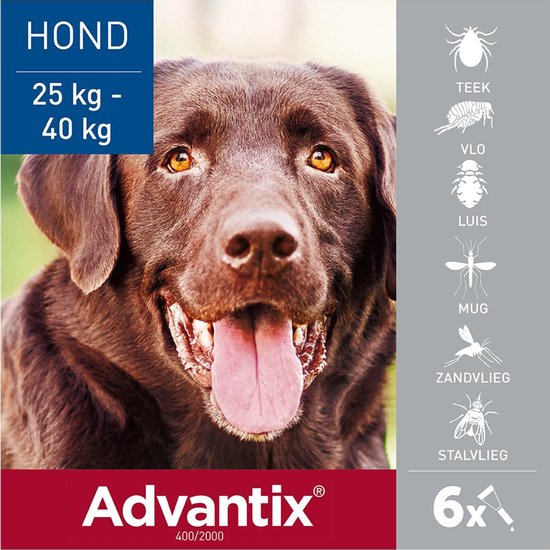 academisch ondergoed Of anders Bayer Advantix Vlooien & Teken Pipetten - Hond 25 Tot 40 kg - 6 stuks |  bol.com