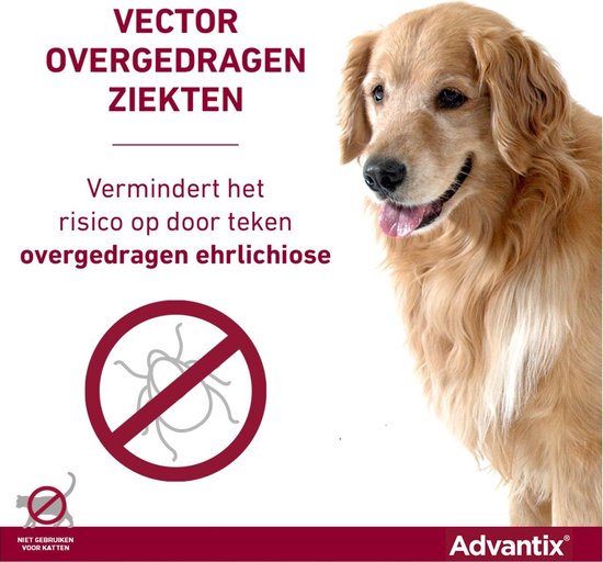 Een golden retriever met een rood 'verboden' teken voor teken.