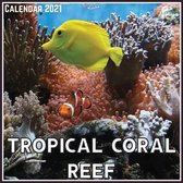 Tropical Coral Reef Calendar 2021