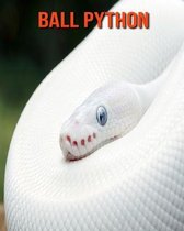 Ball Python