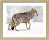 Foto in frame , Bruine wolf , 3 maten , multikleur, wanddecoratie , Premium print
