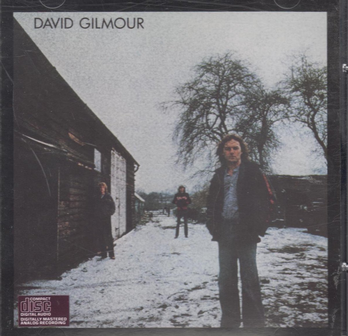 David Gilmour