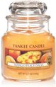 Yankee Candle Geurkaars Small Mango Peach Salsa - 9 cm / ø 6 cm