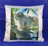 Kussen met vulling - Koala op boomstam