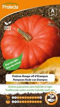 Protecta Groente zaden: Pompoen Rode van Etampes