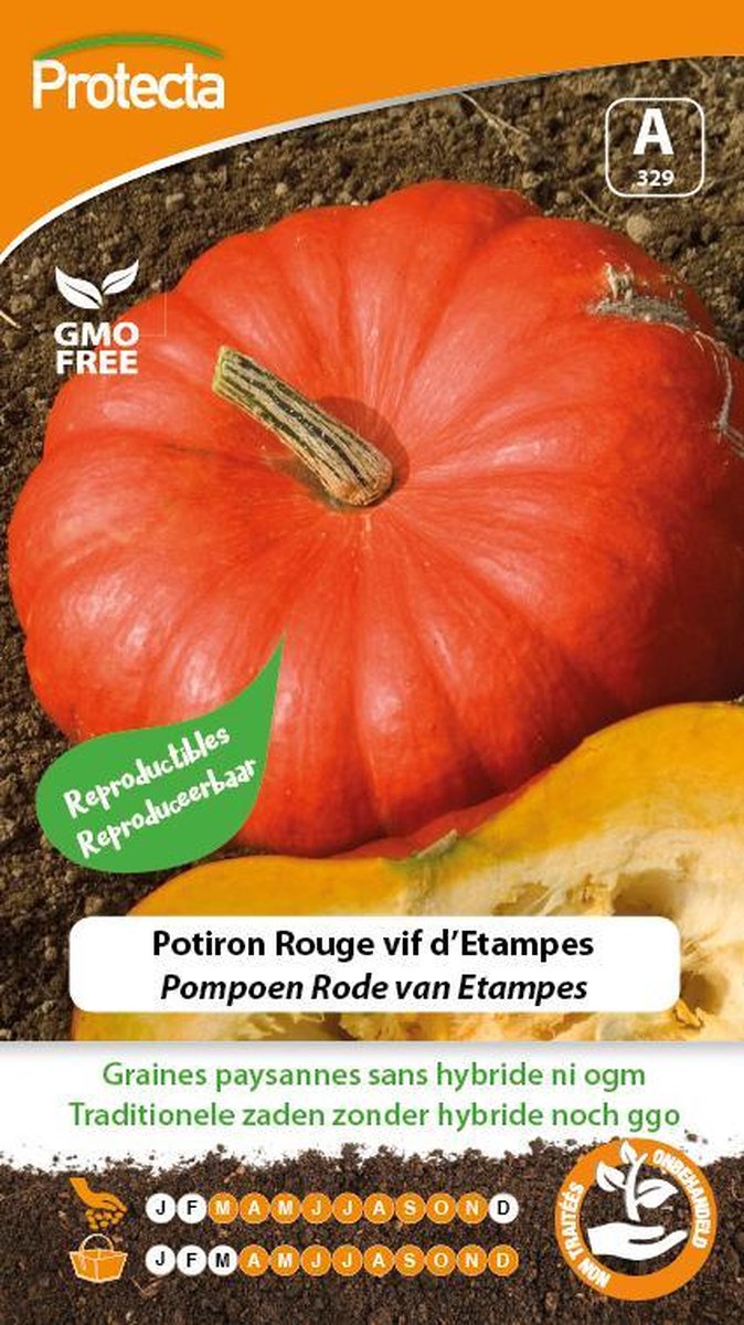 Protecta Groente zaden: Pompoen Rode van Etampes