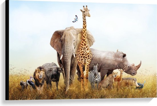 Canvas  - Verzameling Afrikaanse Dieren - 90x60cm Foto op Canvas Schilderij (Wanddecoratie op Canvas)