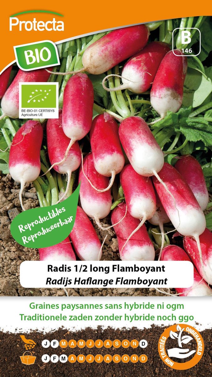 Protecta Groente zaden: Radijs Haflange Flamboyant Biologisch