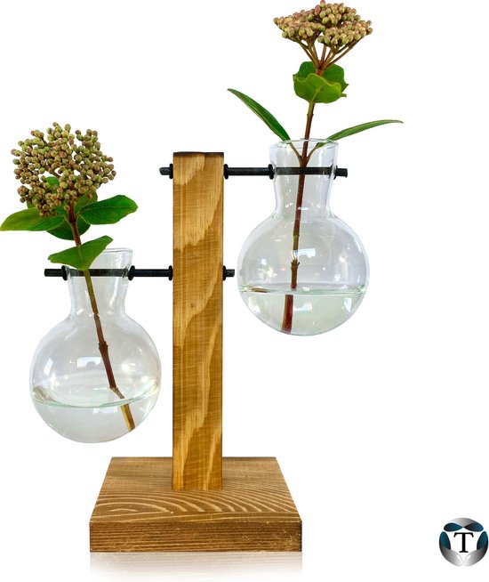 Terrarium| Hydroponie | Plant | Stekjes | Bloemen | Waterplanten | Hout |  Glas |... | bol.com