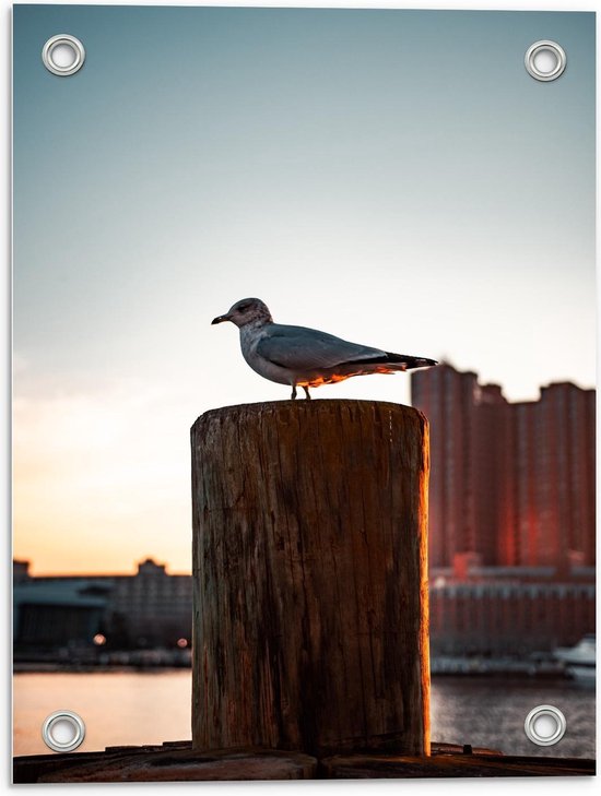 Tuinposter – Meeuw op Boomstronk - 30x40cm Foto op Tuinposter  (wanddecoratie voor buiten en binnen)