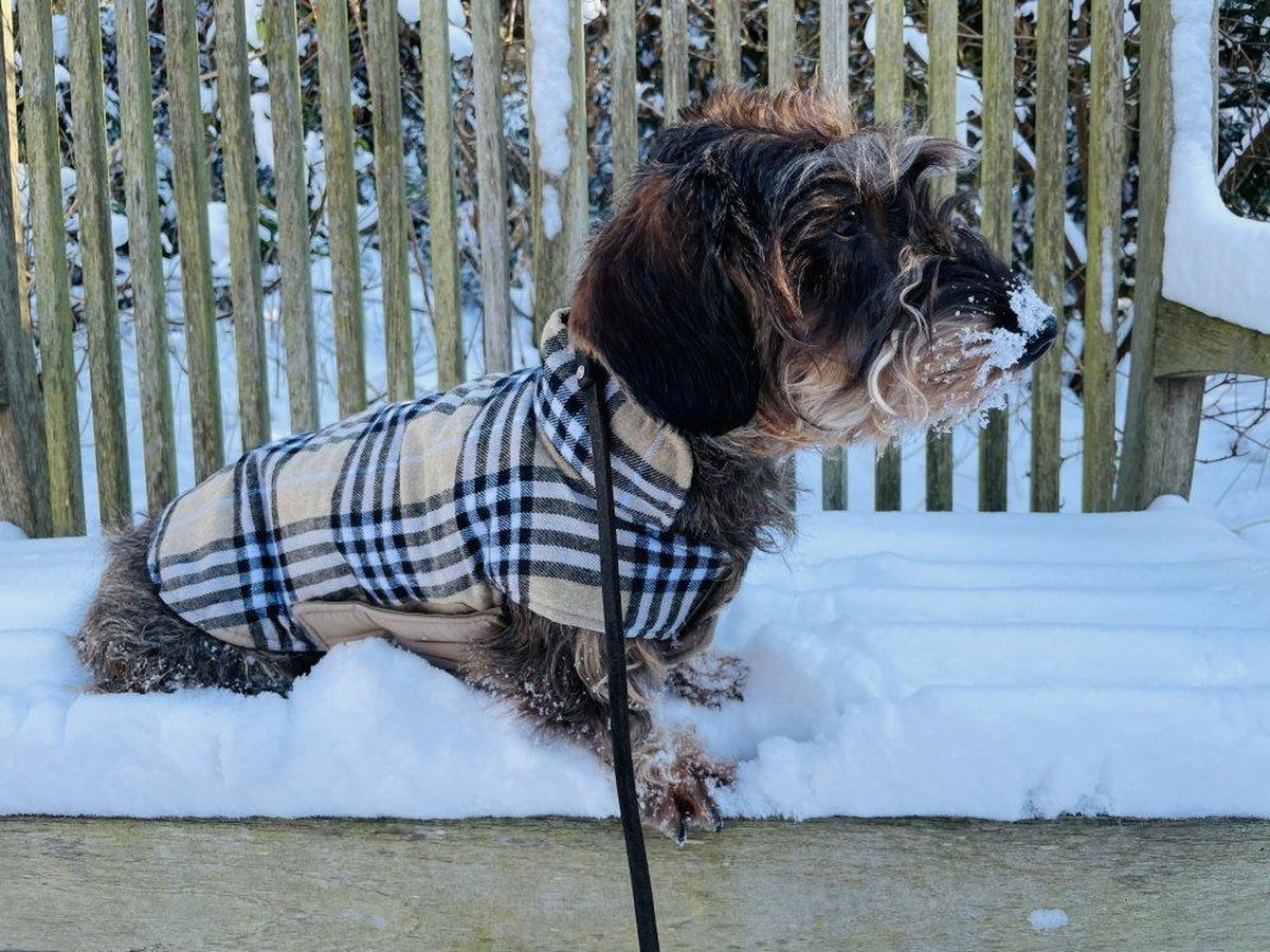 Kiki's dog fashion Hondenjas - Burberry Ruit - Twee Kanten Draagbaar |  bol.com