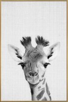 JUNIQE - Poster met kunststof lijst Giraffe - monochrome foto -20x30