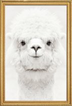 JUNIQE - Poster met houten lijst Smiling Alpaca -40x60 /Wit