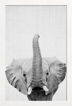JUNIQE - Poster met houten lijst Olifant zwart-wit foto -13x18 /Wit &