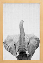 JUNIQE - Poster in houten lijst Olifant zwart-wit foto -40x60 /Wit &