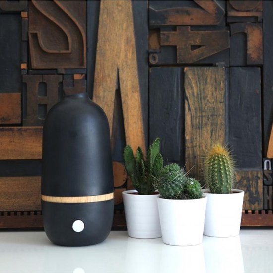 Bo diffuser zonder water bol