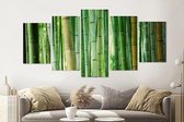 Schilderij - Bamboe, 5 luik, 200x100cm, wanddecoratie, premium print