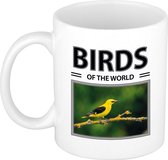 Wielewaal vogels mok met dieren foto birds of the world