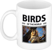 Dieren foto mok Ransuil - 300 ml - birds of the world - cadeau beker / mok Ransuilen / uilen liefhebber