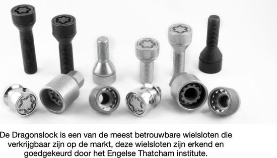 Dragonslock Rim Lock - Ensemble antivol de roue Volkswagen Tiguan Van chaque année - Galvanisé - Meilleur choix