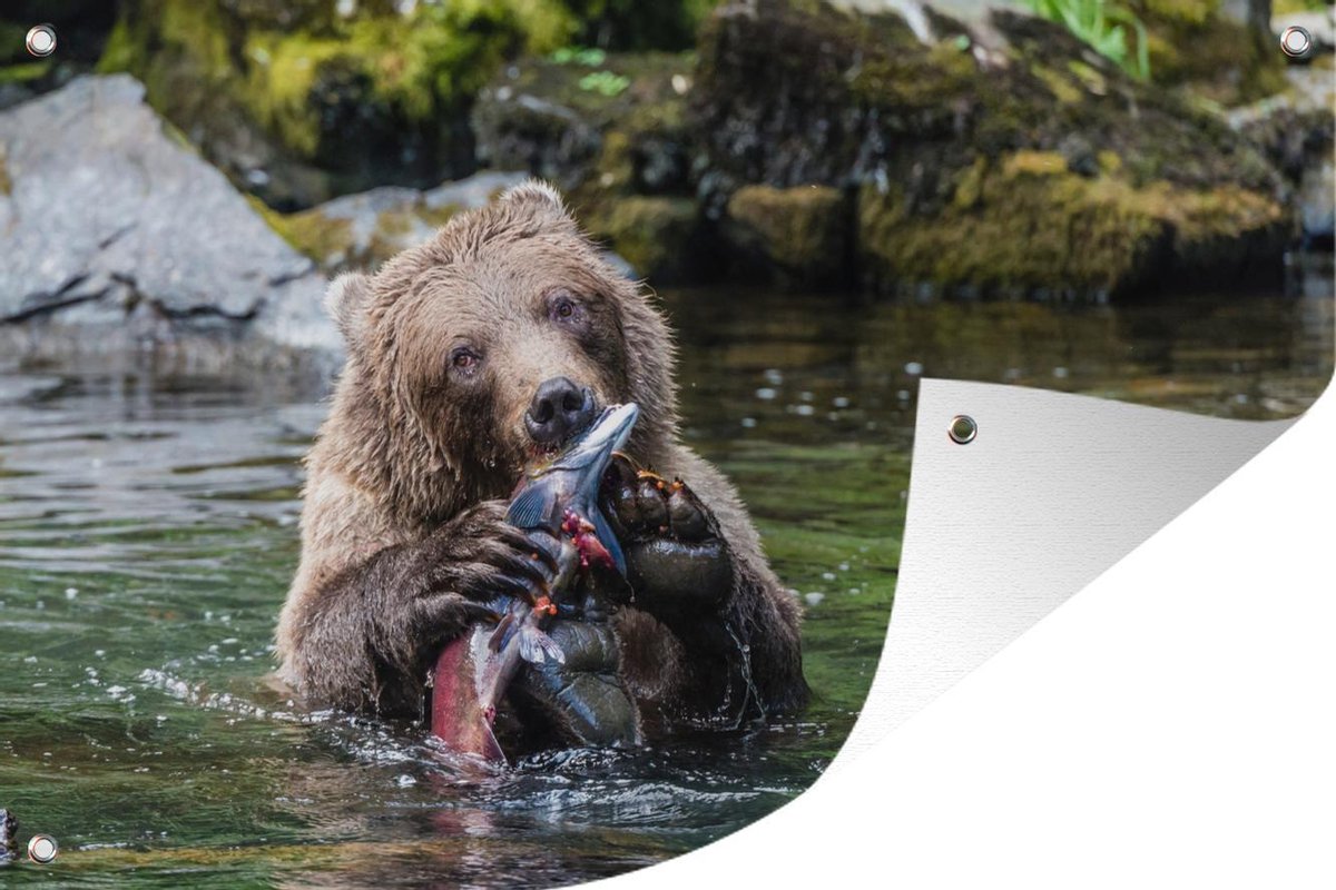 Coussin décoratif Grizzly Bear attraper un saumon. 