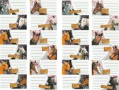Schooletiketten met Paarden | Kaft labels | 24 stuks