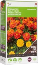Buzzy® Groenbemester Tagetes - 50 gram