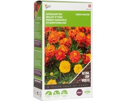 Buzzy® Groenbemester Tagetes - 50 gram