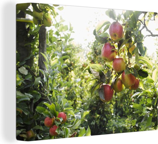Canvas Schilderij Fruitbomen - Appel - Lente - 80x60 cm - Wanddecoratie