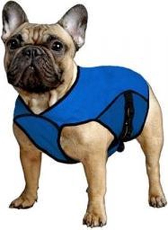 Aqua Coolkeeper Jacket - Pacific Blue - S