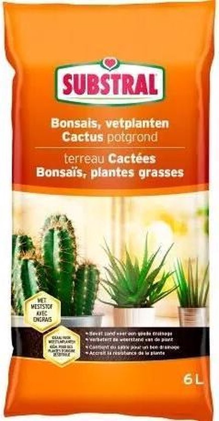 GardenersDream Cactus en Natuurlijke Vetplanten Set - Assortiment van 20 Natuurlijke Vetplanten - Ideaal voor Thuis en Kantoor