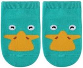 Babysokjes Vogelbekdier Turquoise | 0-3 Maanden | Anti-Slip | 100% Katoen