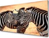 Glasschilderij Zebra group | 120 X 80 CM | 4 mm gehard glas | Incl. Blind ophangsysteem | Moderne glazen schilderij