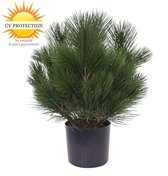 Kunst struik Pinus  45 cm UV voor Buiten