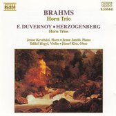 Brahms: Horn Trio;  Duvernoy, Herzogenberg