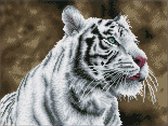 DQK8.007 Diamond Dotz® - Hobby Pakket - Diamond painting volwassenen - Diamond painting met lijst - Witte tijger met groene ogen 31 x 41cm - Vierkante steentjes - Diamond painting pakket voll