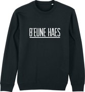 BEUNE HAES SWEATER