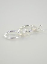 Oorring hanger sterrenbeeld ram - zilver