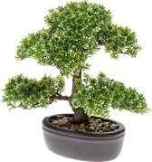 Kunst bonsai Ficus 32 cm in pot