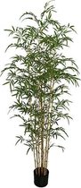 Bamboe plant 220 cm kunstplant Buitengewoon de Boet