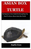 Asian Box Turtle