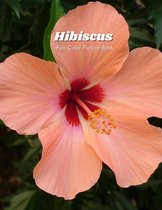 Hibiscus Full-Color Picture Book