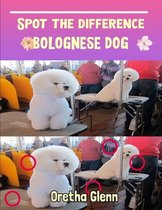 Spot the difference Bolognese Dog