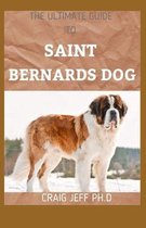 The Ultimate Guide to Saint Bernards Dog